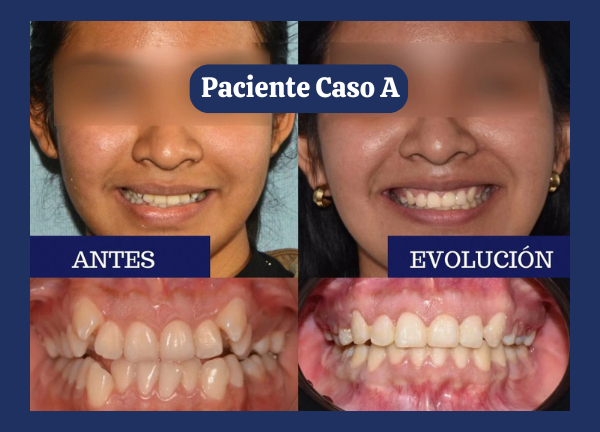 odontología general
